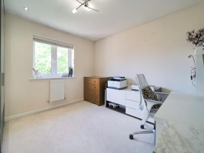 Picture 21
